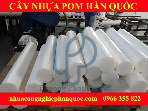 CÂY NHỰA POM HÀN QUỐC 100MM
