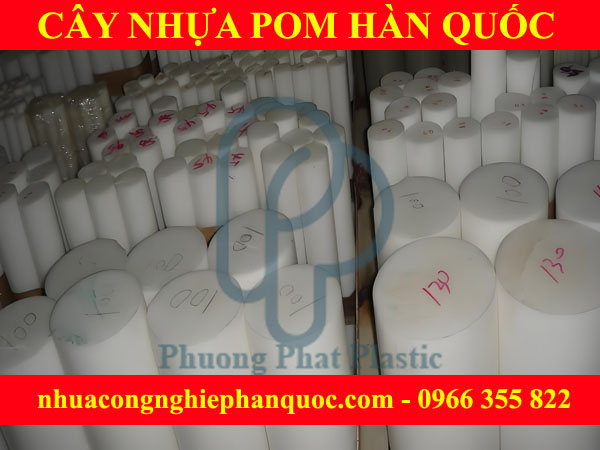 CÂY NHỰA POM HÀN QUỐC 150MM