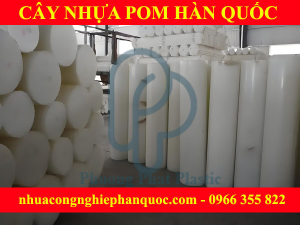 CÂY NHỰA POM HÀN QUỐC 200MM